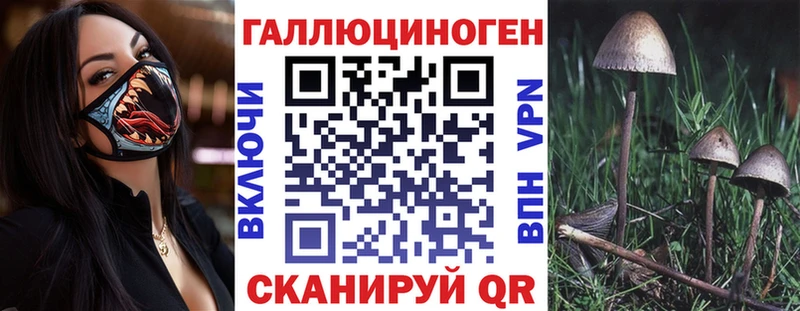 ОМГ ОМГ онион  Староминская  Псилоцибиновые грибы MAGIC MUSHROOMS 